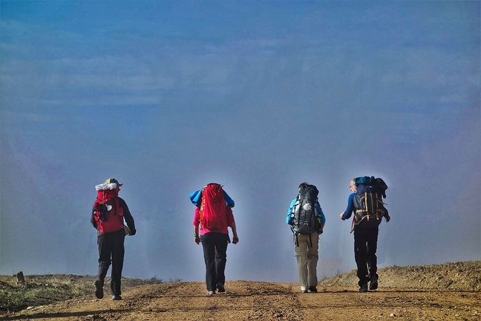 Gemeinsam unterwegs sein. Foto: D. Heckmann